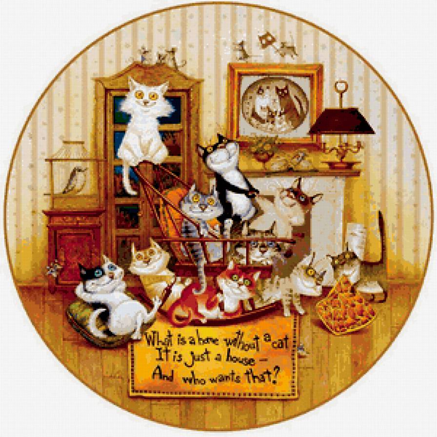 Кошачий произвол - юмор, кот, комната - предпросмотр