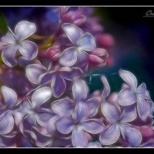 Схема вышивки «Сирень»