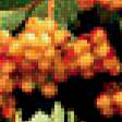 Предпросмотр схемы вышивки «калина» (№236552)