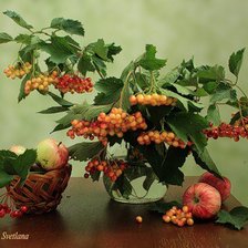 Схема вышивки «калина»