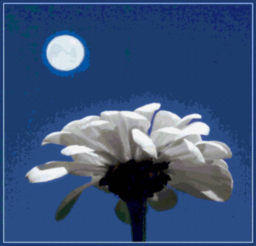 полнолуние - цветы - предпросмотр
