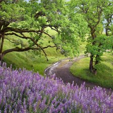 Схема вышивки «Сельская природа»