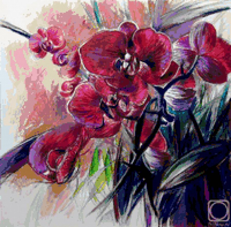 orchidea - предпросмотр