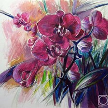 Схема вышивки «orchidea»