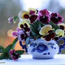 Схема вышивки «Анютки»