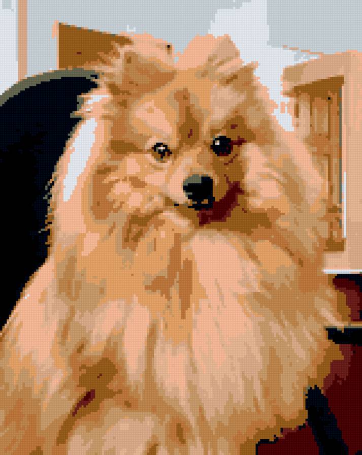 Тота - предпросмотр