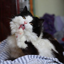 Схема вышивки «кот»