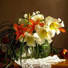 нежные лилии