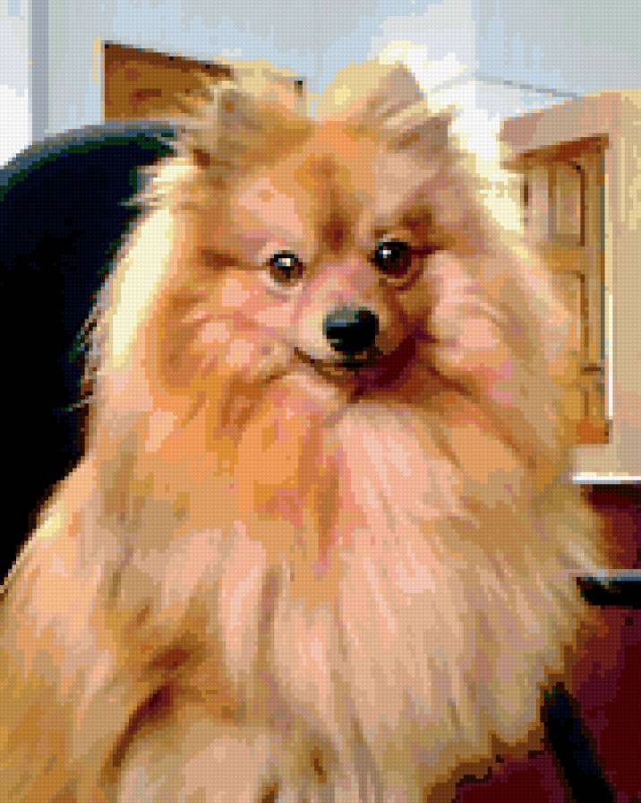 тота 4 - предпросмотр