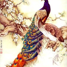 Схема вышивки «Серия "Китайские павлины"»