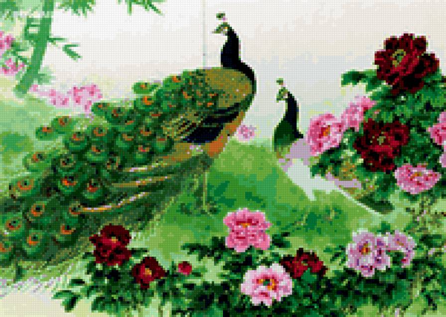 Серия "Китайские павлины" - павлин, гравюра, китай - предпросмотр