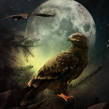 Схема вышивки «орел»