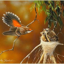 Схема вышивки «№237106»