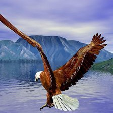 Схема вышивки «Winston»