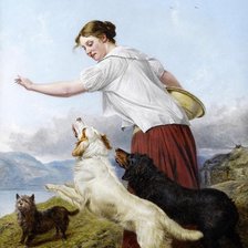 Схема вышивки «№237156»