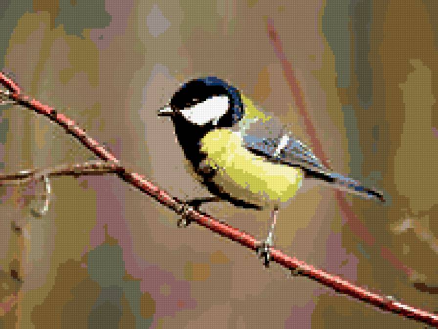 Синичка - птица - предпросмотр