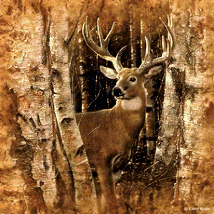 Олень - лес, охота, животные, природа - предпросмотр