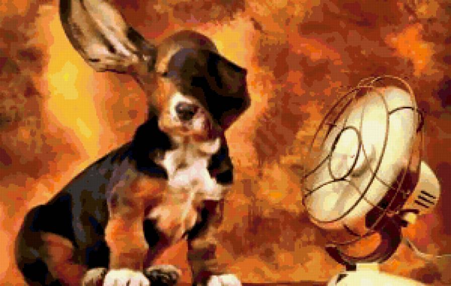 Собака и вентилятор - предпросмотр