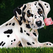 Схема вышивки «Долматин с розой»