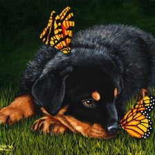 Схема вышивки «Щенок и бабочки»