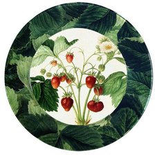 Схема вышивки «Земляничка»