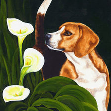 Схема вышивки «Бигль и каллы»