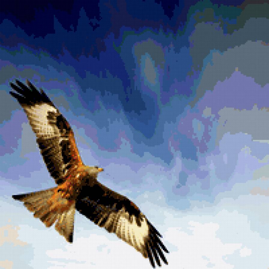 орел в полете - крытья, полет, небо, орел - предпросмотр