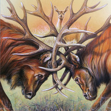 Схема вышивки «дуель»