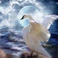 Схема вышивки «Лебедь»