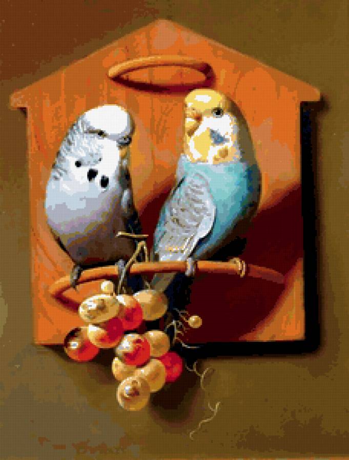 Парочка - пара, попугай - предпросмотр