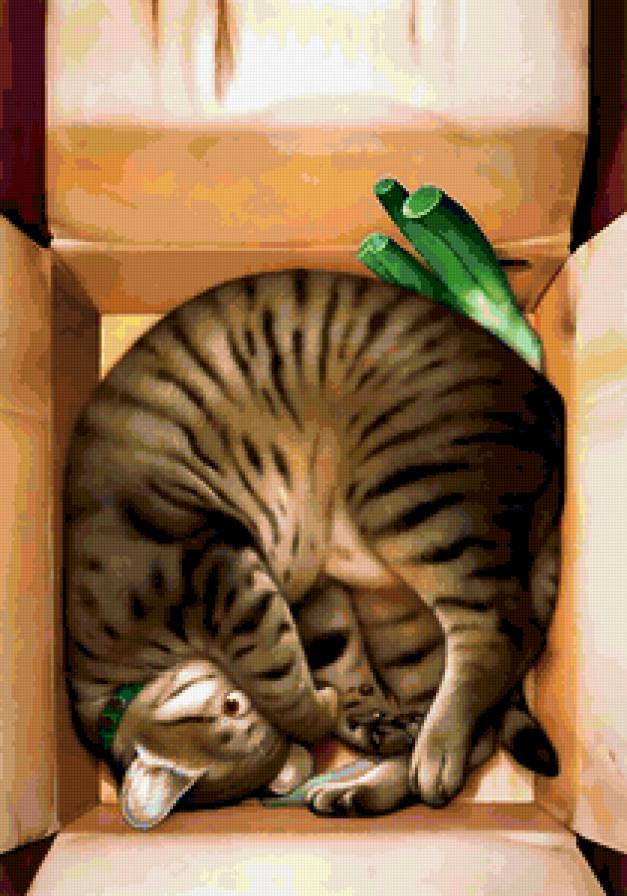 Спрятался. - кот, коробка - предпросмотр