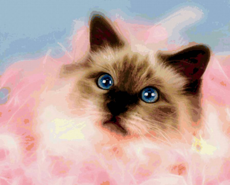 Киса - кот - предпросмотр