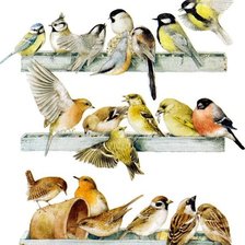 Схема вышивки «Птицы»