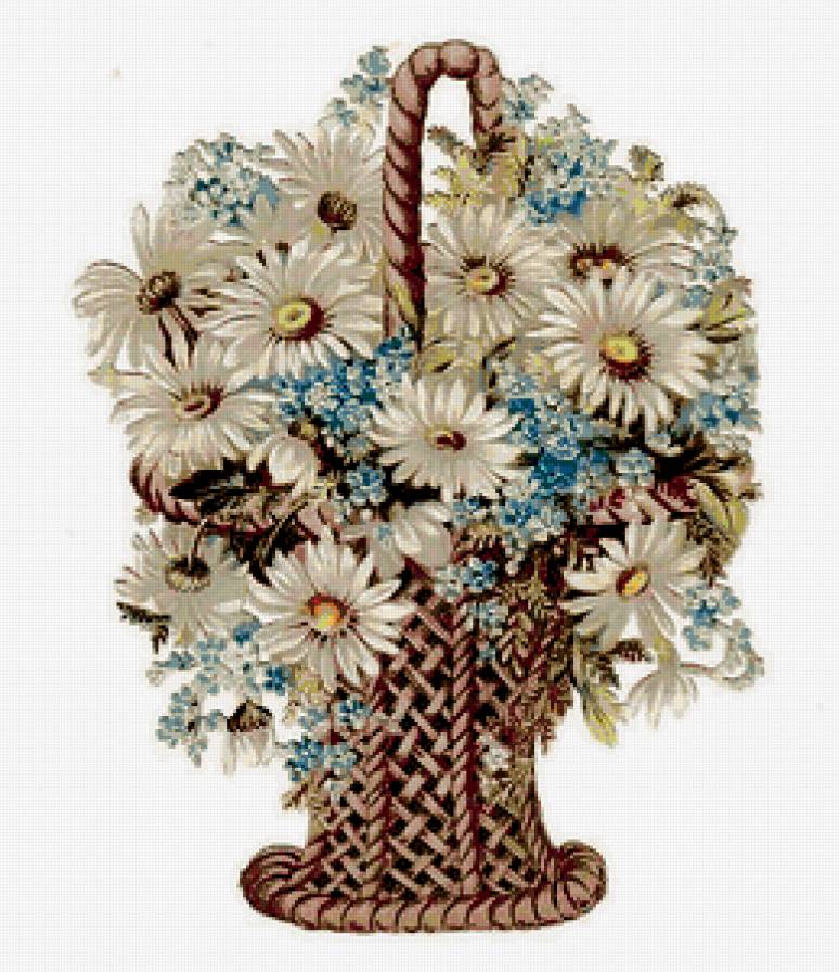 Корзина ромашек - нежность, цветы, ромашки - предпросмотр