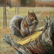 Схема вышивки «Белочка»