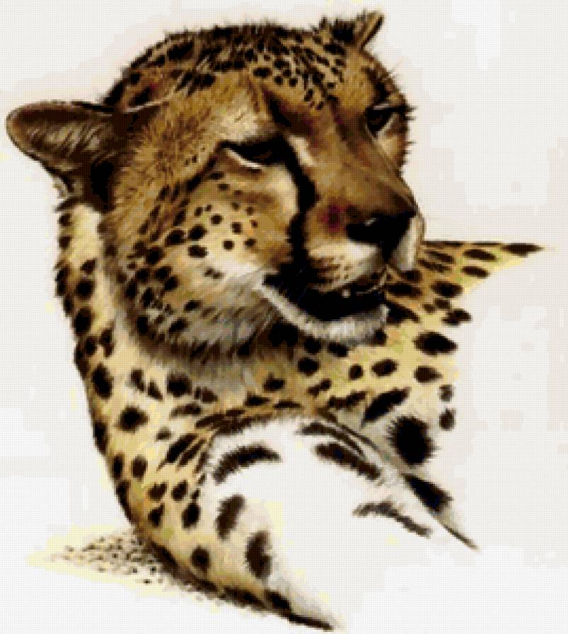 Гепард - предпросмотр