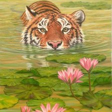 Тигр и кувшинки