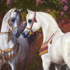 Схема вышивки «paripák»