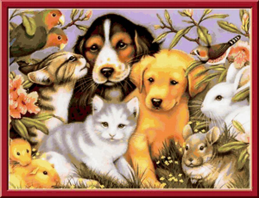 Братья наши меньшие - предпросмотр