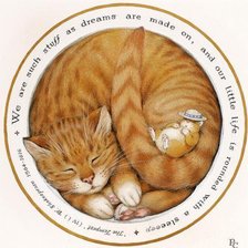 Схема вышивки «Кот»