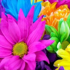 Цветы цветочки