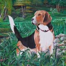 Схема вышивки «kutyus»