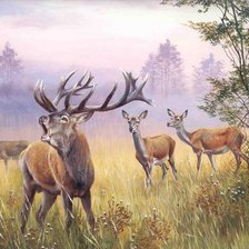 Схема вышивки «szarvas»