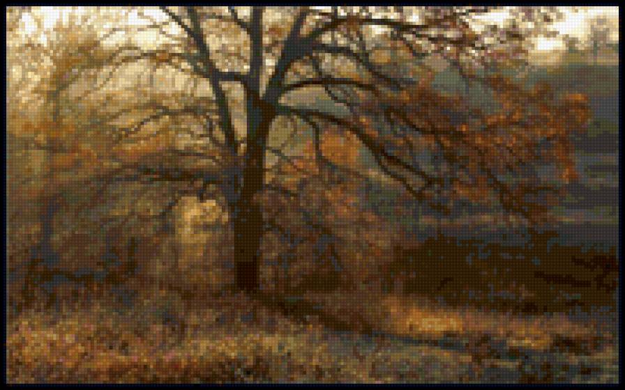 Пейзаж - пейзажи, природа - предпросмотр