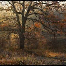 Схема вышивки «Пейзаж»