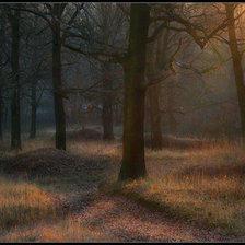 Схема вышивки «Пейзаж»