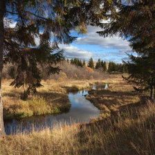 Схема вышивки «Пейзаж»