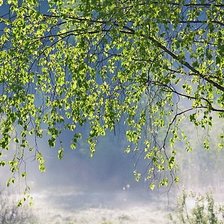 Схема вышивки «Пейзаж»