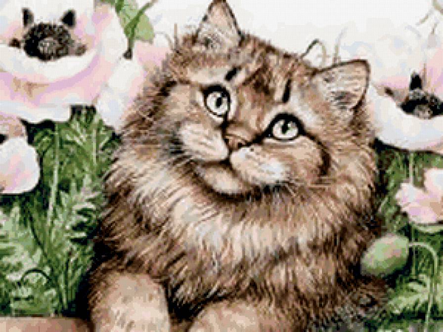 кот - портрет, кошка, киса, кот - предпросмотр