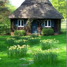 Схема вышивки «№238038»